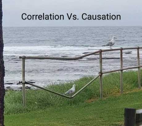 correlation_vs_causation