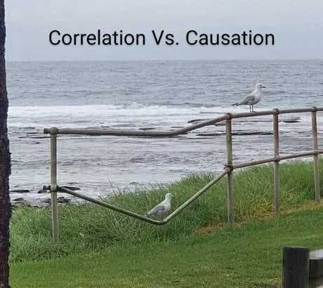 correlation_vs_causation